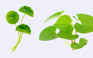 A Smarter Approach to Acne with Korean Skincare