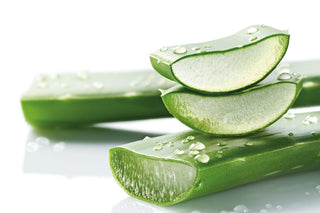 The Power of Aloe in Korean Skincare: Soothing, Hydrating & More