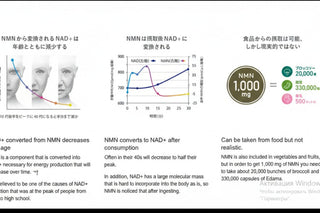 NMN 18000 Beauty Complex with Bird's Nest Extract, 120 Capsules