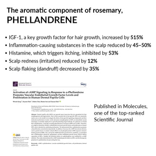 BOTANICSENS Ph.D. REGEN FORMULA Deep Scaling Swab