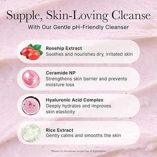 Rosehip Mild PH Balancing Rice Cake Cleanser 5.29 oz (150 g)