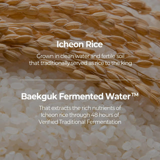 Rice Brightening Toner 5.4fl oz (160 ml)