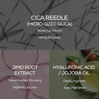 Reedle Shot Lip Plumper Expert, 0.15 oz (4.3 g) Moisturizing, Transparent, Lip Gloss, Stocking Stuffers