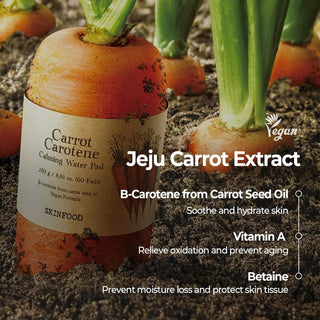 SKINFOOD CARROT CAROTENE DAILY MASK 9.52 oz